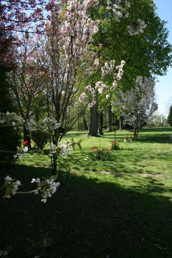 Chateau Du Clos Mortier Saint-Dizier Dış mekan fotoğraf